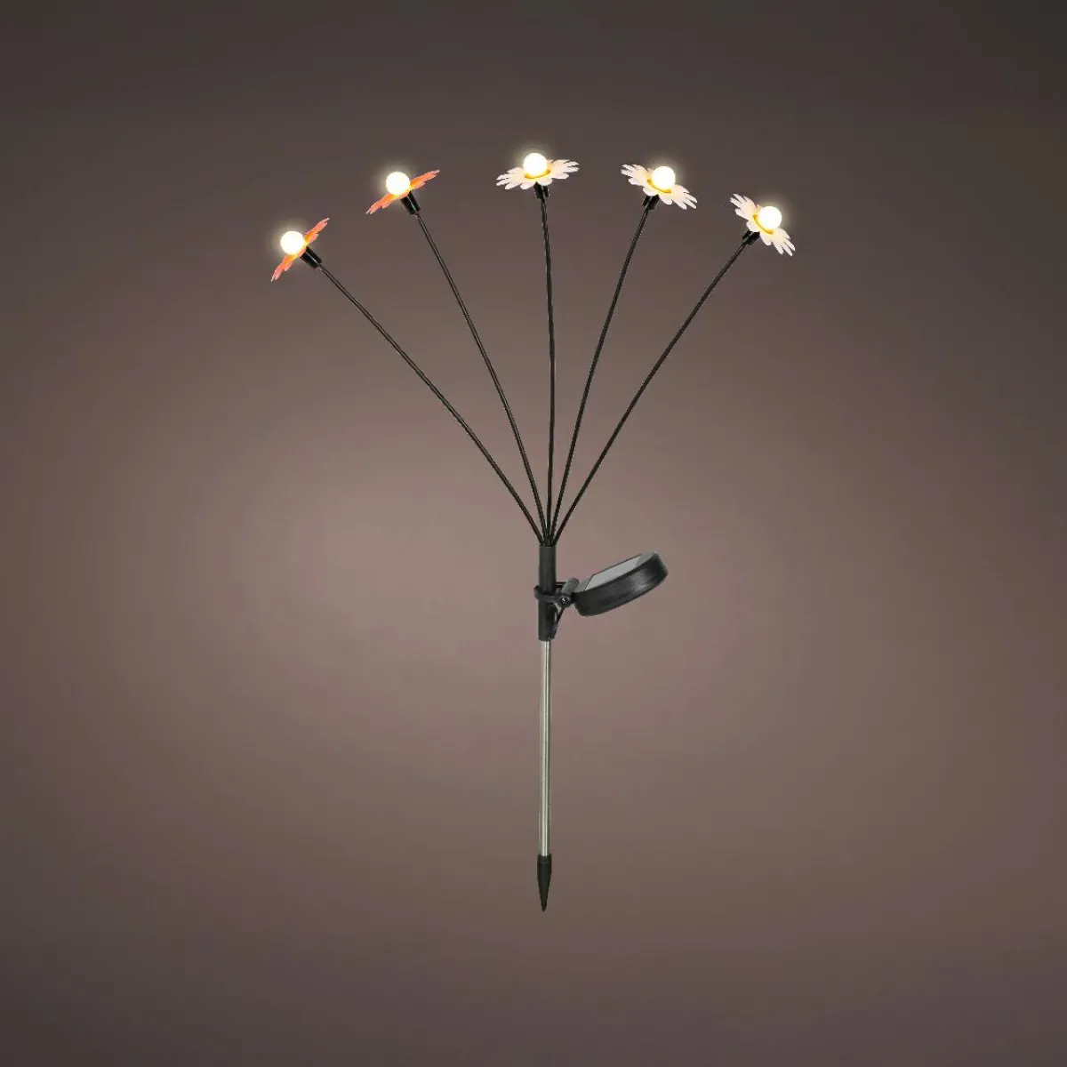 KAEMINGK Décoration lumineuse Solaire à piquer au sol (H60 cm) Marguerites et blanc chaud Rouge New