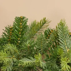 EMINZA Guirlande de sapin (280 cm - D8) Glorious Vert sapin Sapin vert Hot
