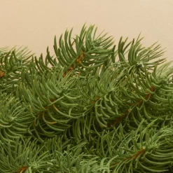 EMINZA Guirlande de sapin (180 cm - D25) Utah Luxe Vert sapin Sapin vert