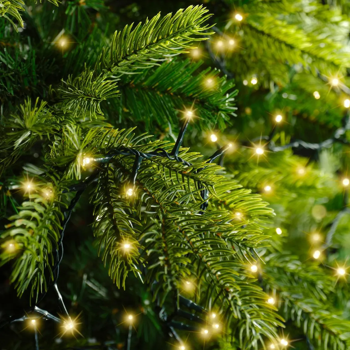 KAEMINGK Guirlande lumineuse 45 m 2000 LED câble vert Luxe Blanc chaud Champagne Blanc chaud Champagne - câble vert