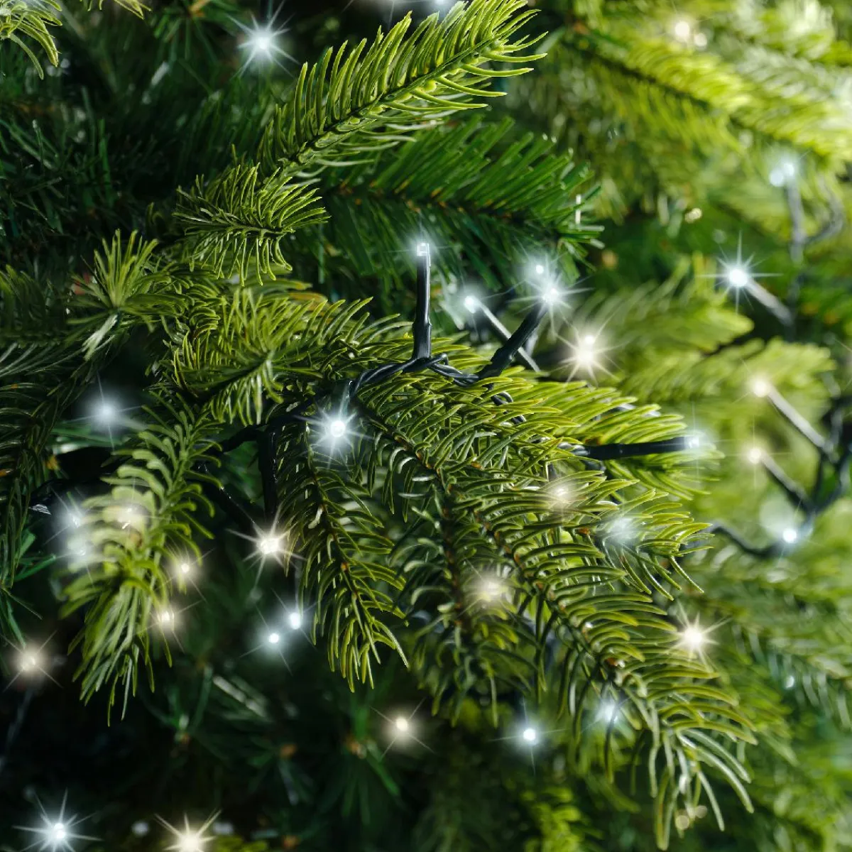 KAEMINGK Guirlande lumineuse 22,5 m 1000 LED câble vert Luxe Bicolore Blanc chaud et froid Bicolore Blanc chaud / Chaud doré - câble vert Online