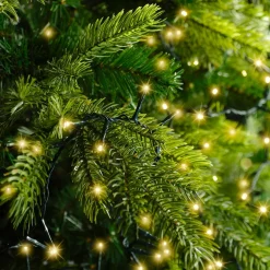 KAEMINGK Guirlande lumineuse 34 m 1500 LED câble vert Luxe Blanc chaud Champagne Blanc chaud Champagne - câble vert Online