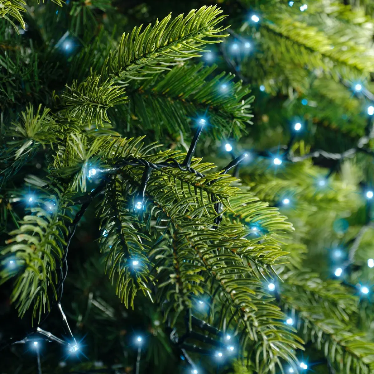 KAEMINGK Guirlande lumineuse 11 m 500 LED câble vert Luxe Bleu Bleu - câble vert Discount