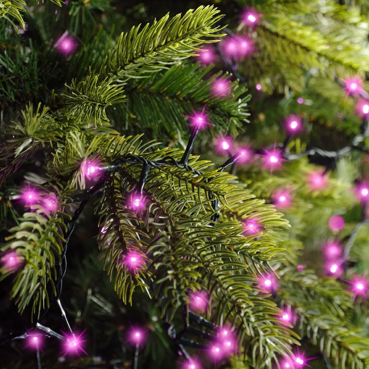 KAEMINGK Guirlande lumineuse 22,5 m 1000 LED câble vert Luxe Rose Rose - câble vert