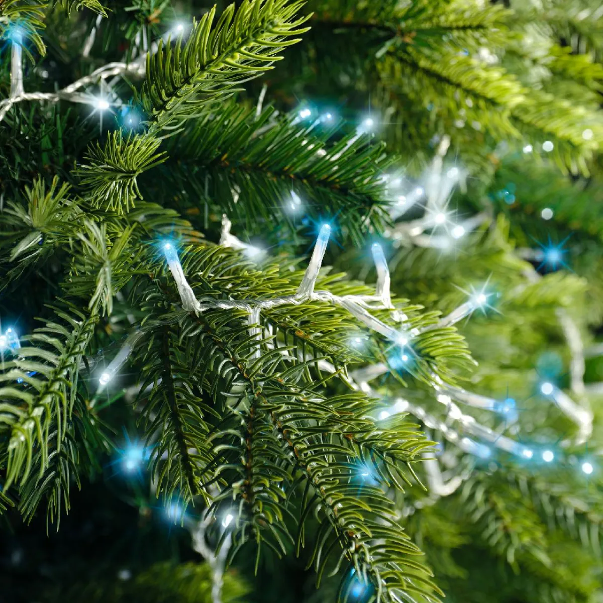 KAEMINGK Guirlande lumineuse 22,5 m 1000 LED câble transparent Luxe Bicolore Blanc et bleu Bicolore Bleu / Blanc froid - câble transparent Sale