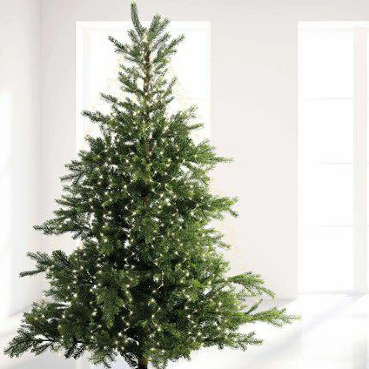 KAEMINGK Guirlande rideau pour sapin H2,40 m 832 Micro LED câble argent Blanc froid Blanc Froid - câble argent New