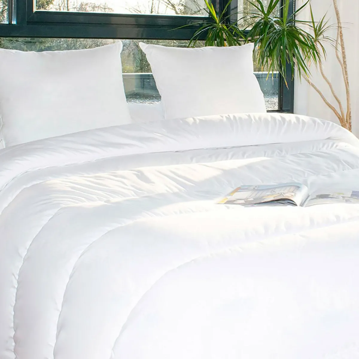EMINZA Lot Couette chaude anti-acariens (280 x 240 cm) + 2 Oreillers (60 x 60 cm) Comète he Blanc Hot