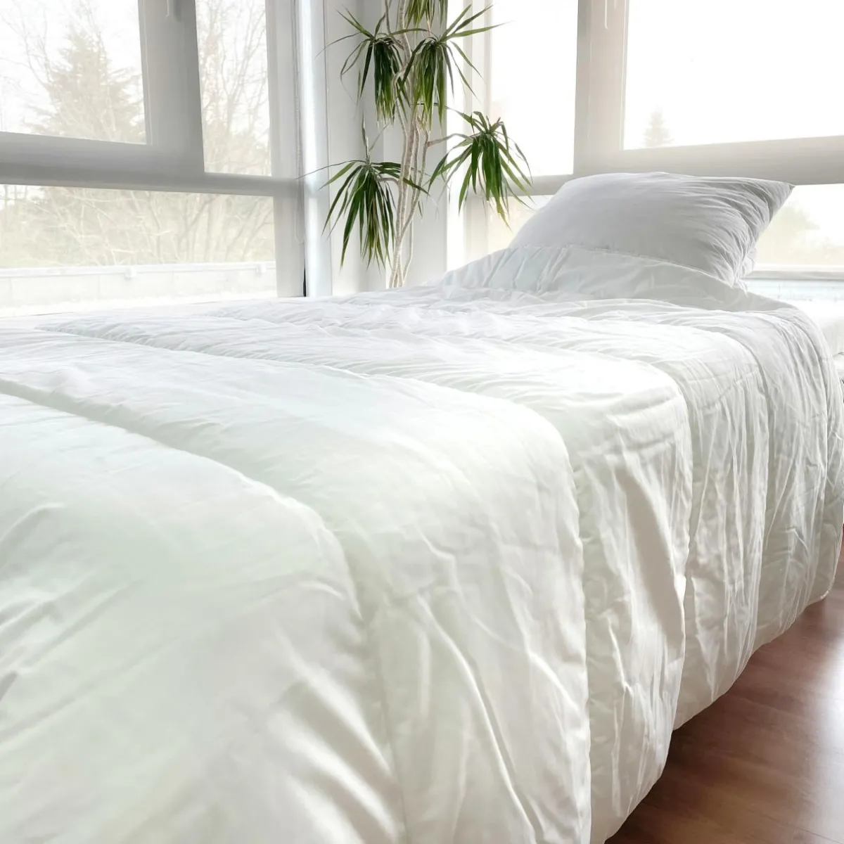 EMINZA Lot Couette chaude anti-acariens (140 x 200 cm) + 1 Oreiller (60 x 60 cm) Comète he Blanc
