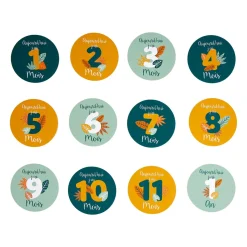 OSTARIA Lot de 12 cartes étapes bébé carton (10 cm) Mois Multicolore Outlet