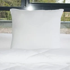 EMINZA Lot de 2 oreillers carrés moelleux (60 x 60 cm) Lavables à 95 ° Blanc Discount