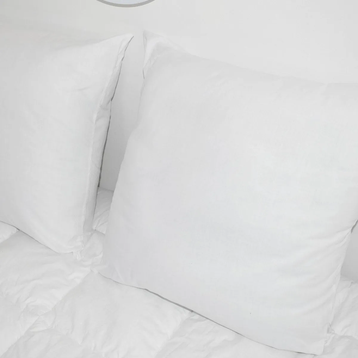 EMINZA Lot de 2 oreillers rectangulaires moelleux (45 x 70 cm) Volume Blanc Online