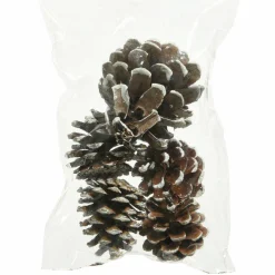 KAEMINGK Lot de 5 pommes de pin Pinus nigra enneigées Naturel Marron Hot