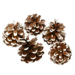 KAEMINGK Lot de 5 pommes de pin Pinus nigra enneigées Naturel Marron Hot