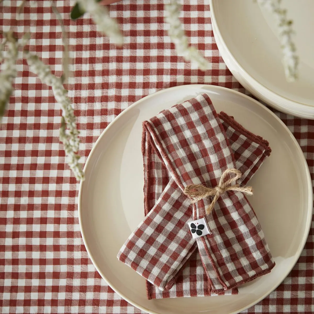 EMINZA Lot de 3 serviettes gaze de coton (40 x 40 cm) Gaïa vichy Terracotta Clearance