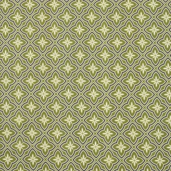 EMINZA Nappe rectangulaire coton enduit (150 x 250 cm) Gloria e Vert Outlet