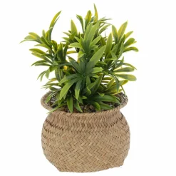 ATMOSPHERA Plante artificielle en pot (H20 cm) Jil e Vert