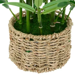 Atmosphera, cru017dateur d'intu017drieur Plante artificielle en pot tressé (H46 cm) Bambou Ly Vert Hot