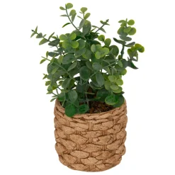 Atmosphera, cru017dateur d'intu017drieur Plante artificielle en pot cimenté (H27 cm) Eucalyptus Jaye Vert Sale