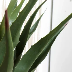 ATMOSPHERA Plante artificielle (H73 cm) Palmier en pot Vert Best