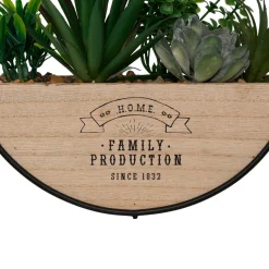 Atmosphera, cru017dateur d'intu017drieur Plantes artificielles dans support en bois à suspendre (D20 cm) Family production Vert Clearance