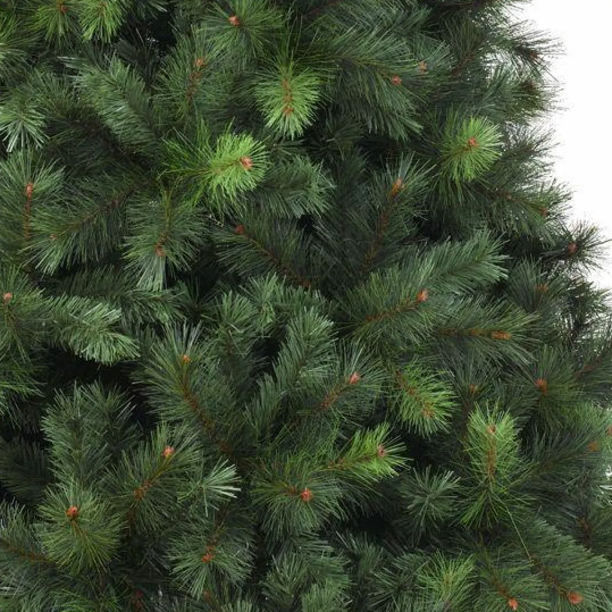 EMINZA Sapin artificiel de Noël (H150 cm ) Edmonton Vert sapin Sapin vert Sale