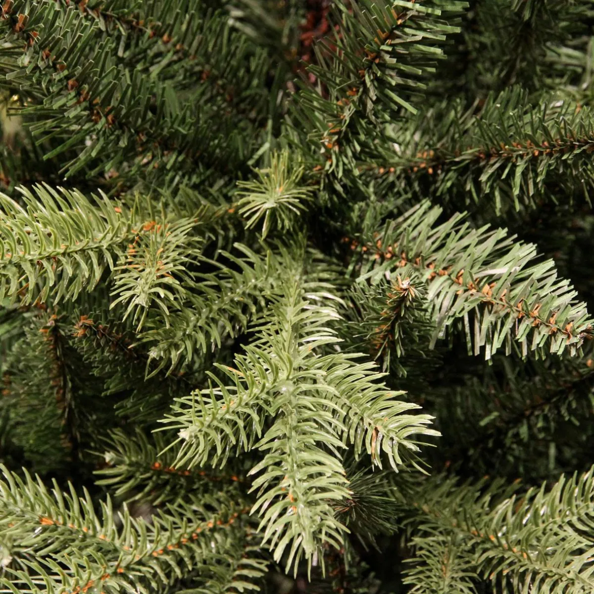 EMINZA Sapin artificiel de Noël (H150 cm) Allix Vert sapin Sapin vert Hot