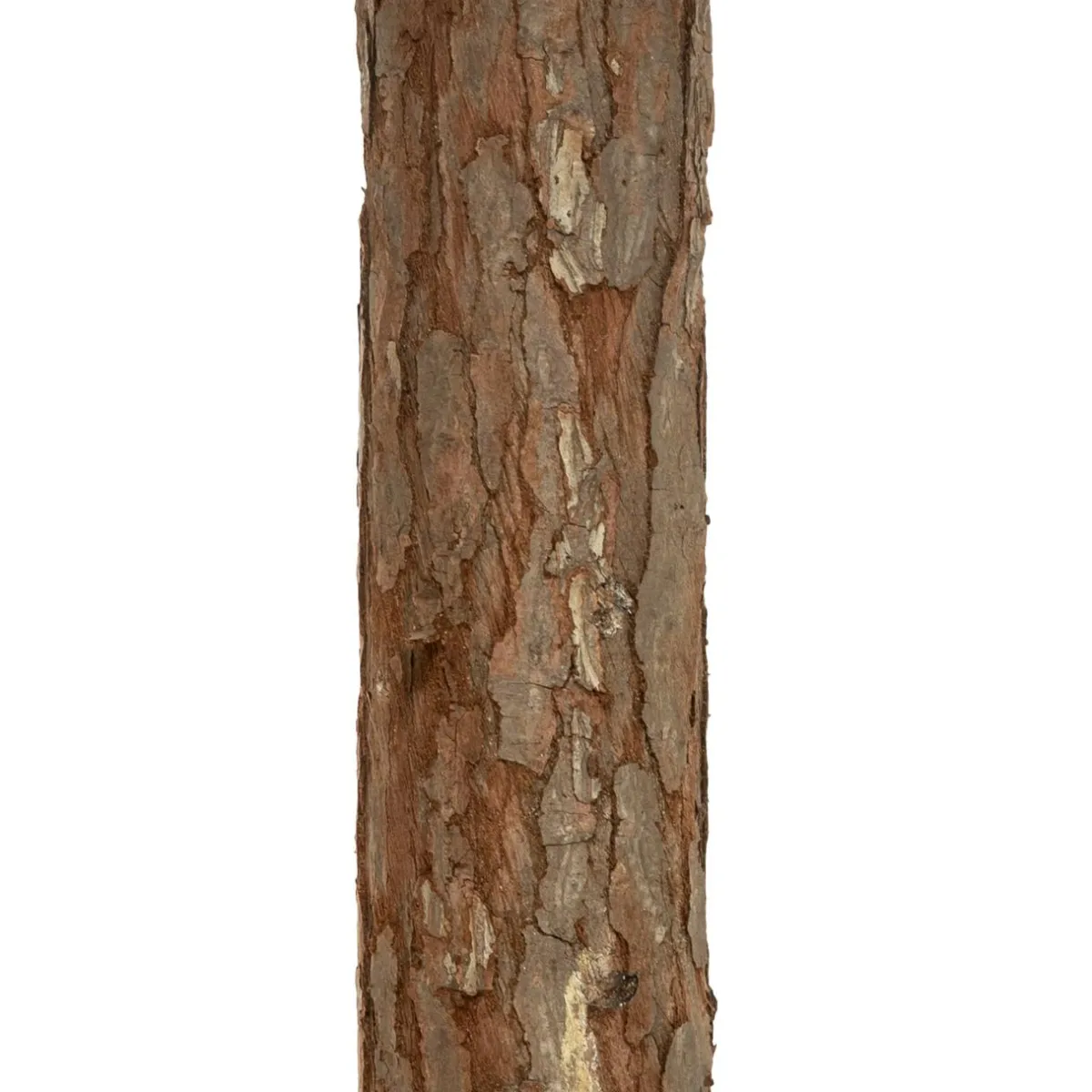 FEERIC LIGHTS Sapin artificiel de Noël (H180 cm) Nordstar Vert enneigé Sapin enneigé Hot