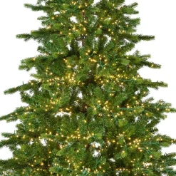 EMINZA Sapin de Noël artificiel lumineux 5400 LED (H240 cm) Caucasia Nordmann Vert sapin Sapin vert lumineux