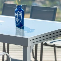 MOBELLIA Table de jardin extensible en verre 12 places (200/320 x 100 cm) Murano Gris Anthracite