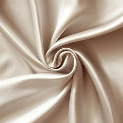 EMINZA Taie d'oreiller carrée soie de mûrier (80 x 80 cm) Mizuki pampa Beige Best