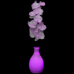 Feeric Lights & Christmas Vase orchidée lumineux à piles Multicolore Hot